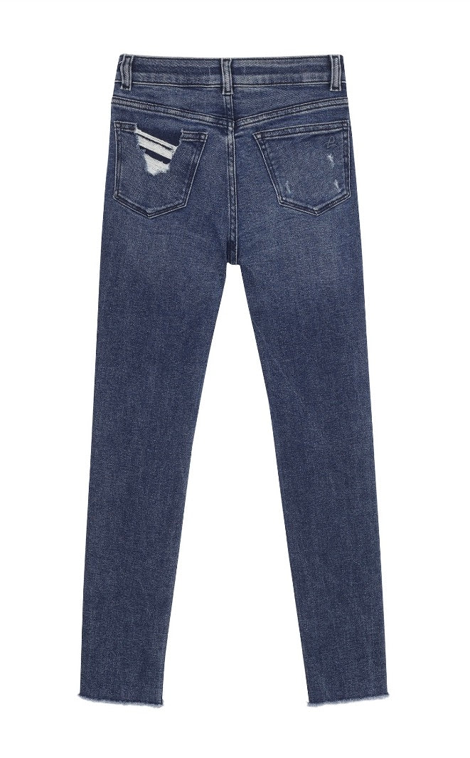 DL1961 CHLOE HIGH RISE: SKINNY