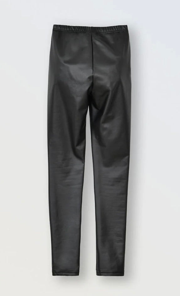 Molly Bracken Pleather fleece lined leggings